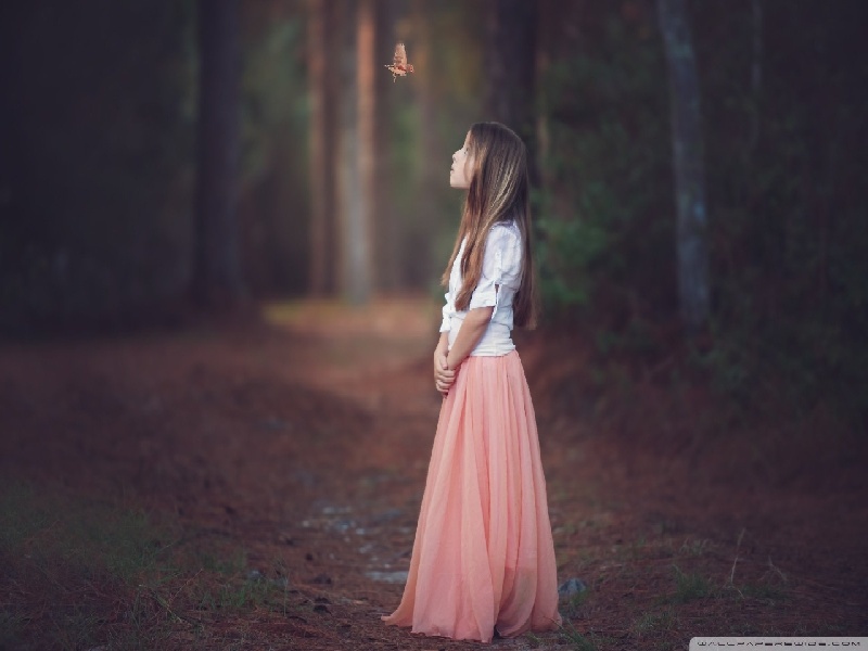 台湾三代试管婴儿费用（试管养囊工具）